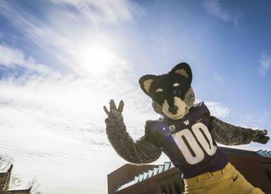 UW mascot